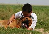 ENFANT ET CHIEN 388